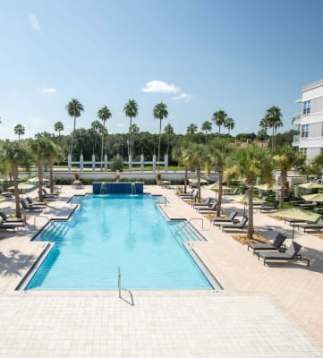 Apartments in Celebration, FL | Delamarre at Celebration Apartments